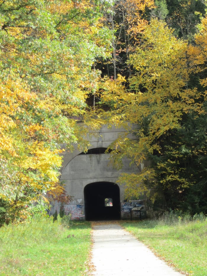 The Sandy Creek Tunnel, also known as the Mays Mills or Deep Valley Tunnel (Belmar Bridge Side)