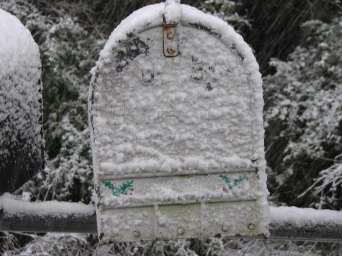 It doesn't snow often in Louisiana, but when it does it is an event. A holly covered mailbox in a winter wonderland.