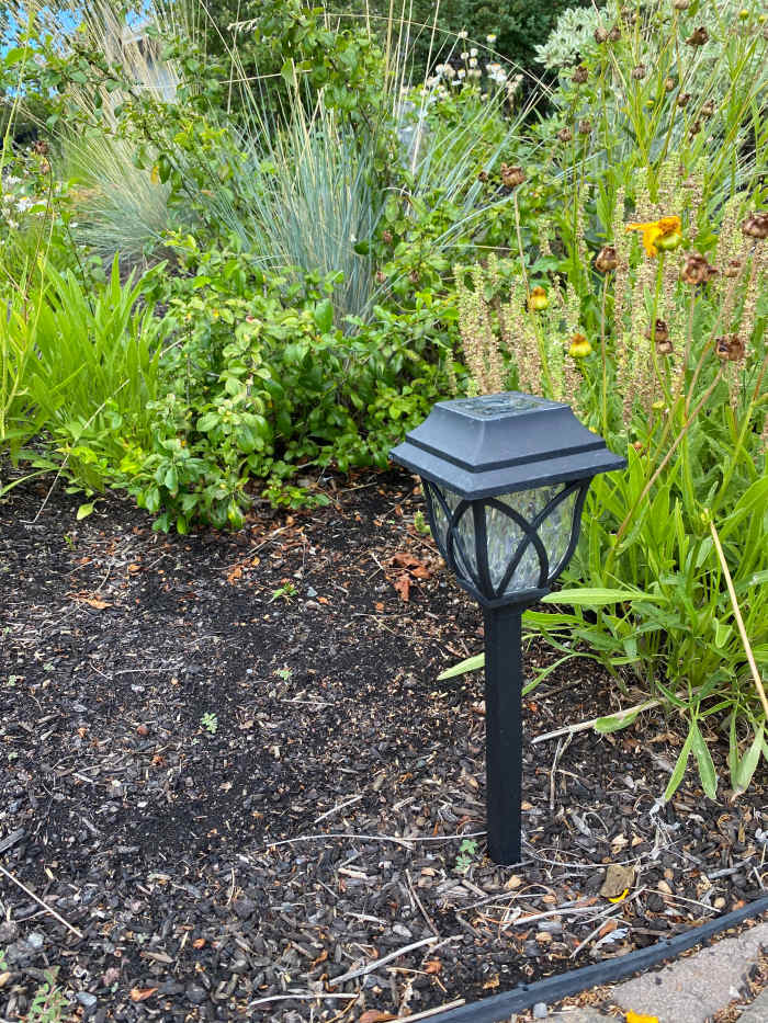 Solar garden lighting can illuminate pathways and plants without trenching or wiring