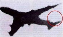 Improper repairs by Boeing after a tail strike 7 years earlier, led to a rupture of the pressure bulkhead and loss of all controls.