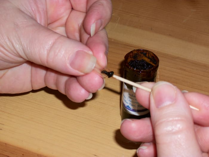 Use wood or plastic to put Indian Herb, the size of half of a dried green pea, into a gel capsule. Personal photo.