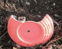 Clay pigeons have lead, copper, nickle and other poisonous heavy metals that can cause liver and kidney failure in your dog if ingested.