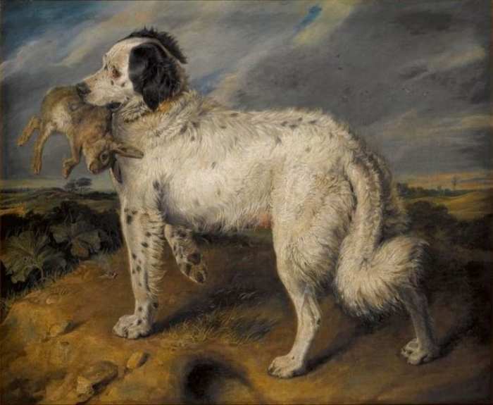 Sir Edwin Henry Landseer - The Champion; Venus, a Landseer Newfoundland with a rabbit. Image posted to Wiki Commons by Sothebys Auctioneers