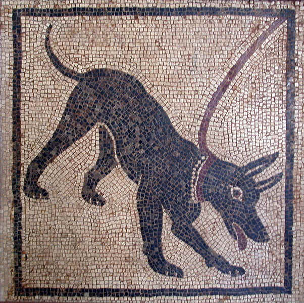Cave Canum! A Roman mosaic from Pompeii on display at the Museo Archaelogico in Naples, Italy. Photographed by Massimo Finizio. Image Courtesy Wiki Commons