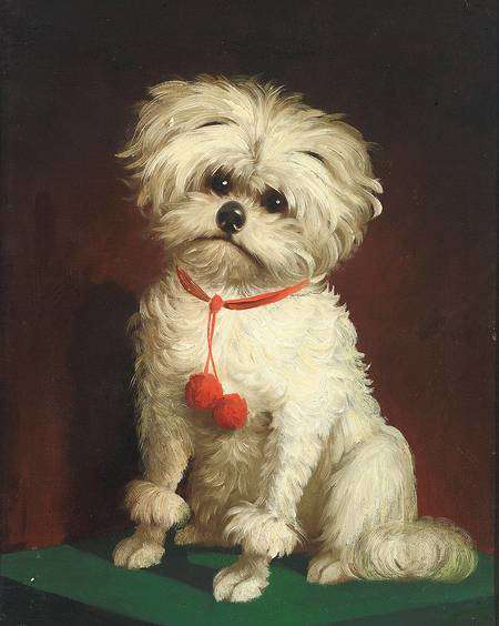 Portrait of a Little Dog by an anonymous 19th century artist. Posted on Wiki Commons by www.zeller.de/