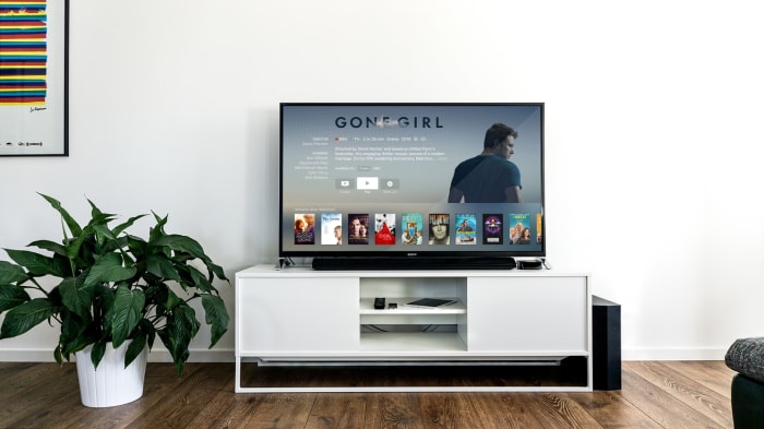 Televisions have expanded the potential for education for the average world citizen.