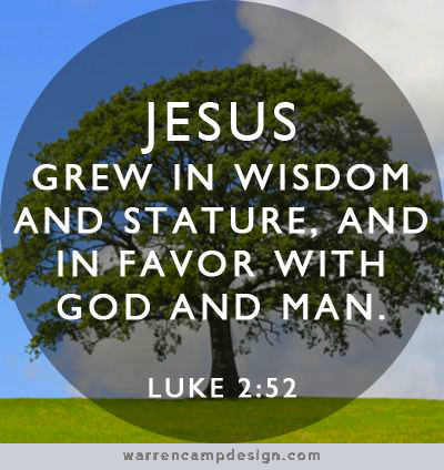 This statement summarizes Jesus' status when He was 12. We don't hear from Him until He was 30 years old.