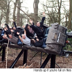 June 25, 2010 1:00 PM A theme park is being forced to spray a roller coaster with insect repellent -- because open-mouthed riders are swallowing flies.