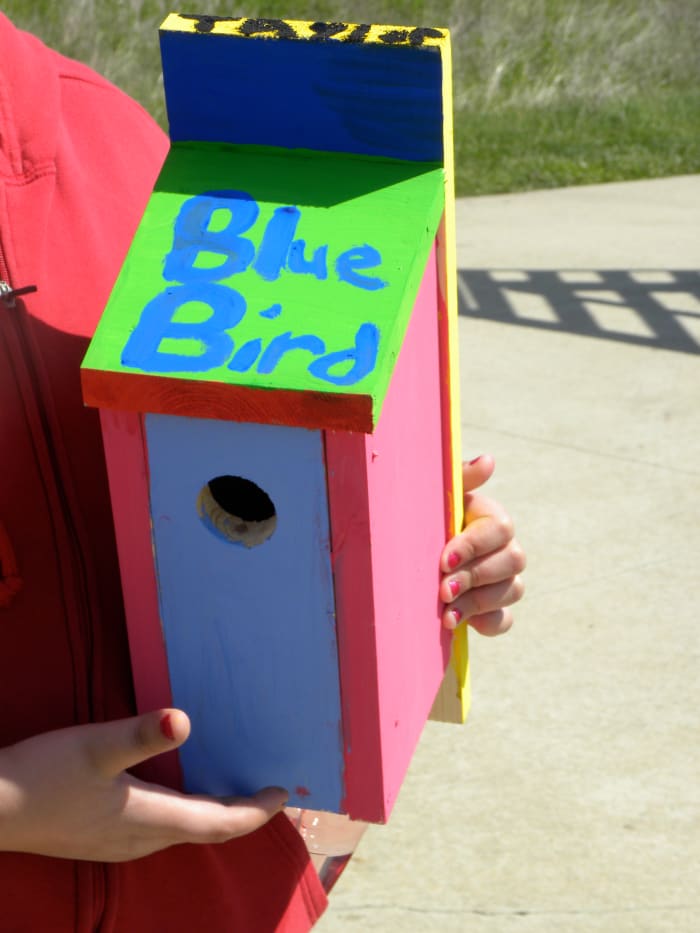 A bluebird nesting box is an easy project for kids and provides shelter for young birds.
