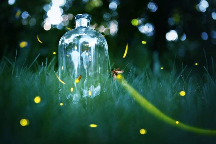 The pictured jar is not the "approved" style. We used wide-mouthed jars with screw-on lids. However, we definitely used clear glass to maximize seeing our little living lanterns.