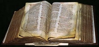 000s of hectares of ploughed land, every pair of oxen, ploughs, animals that grazed the land or ruminated in the king's forest; mills and fish ponds - it wasn't just the sheep that were fleeced, although an ulterior motive was given for the survey!