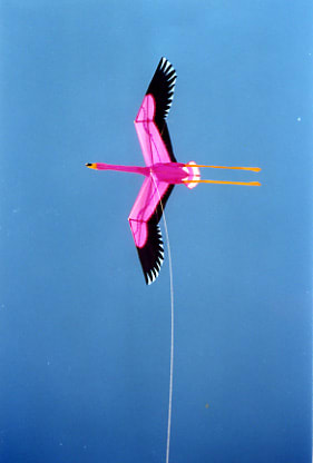 Our flamingo kite was our pride and joy ...sadly, that frizzled once we got there.