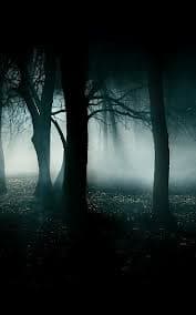 Scorpio is associated with the subconscious, hidden, and forbidden/taboo aspects such as night, sex, the occult, and death.