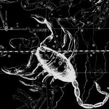 Scorpio is the 8th sign in the zodiac.It is ruled by Pluto. Pluto is associated with the underworld and the unseen. Scorpio is also a fixed water sign. Scorpios are highy instinctual, and not easily swayed once they believe in something.