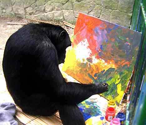 Jimmy the Painting Chimpanzee Sadly Jimmy's story is a sad tale. To read the full story click on the link .