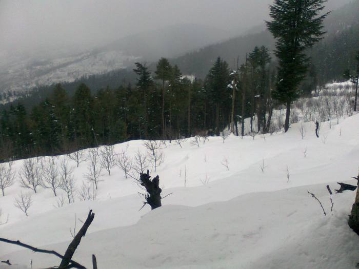 snow covered hills are real treat to eyes. You can use this image only after giving a clickable link from your resource to this article.