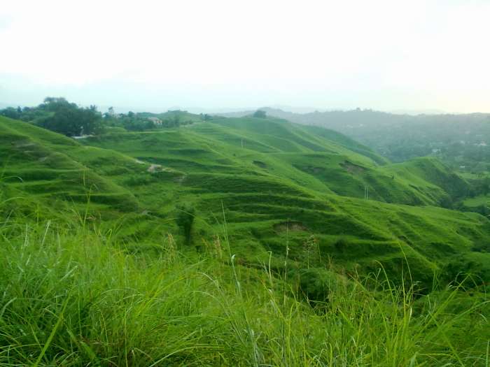Lush greenery of a hill station. You can use this image only after giving a clickable link to this article.