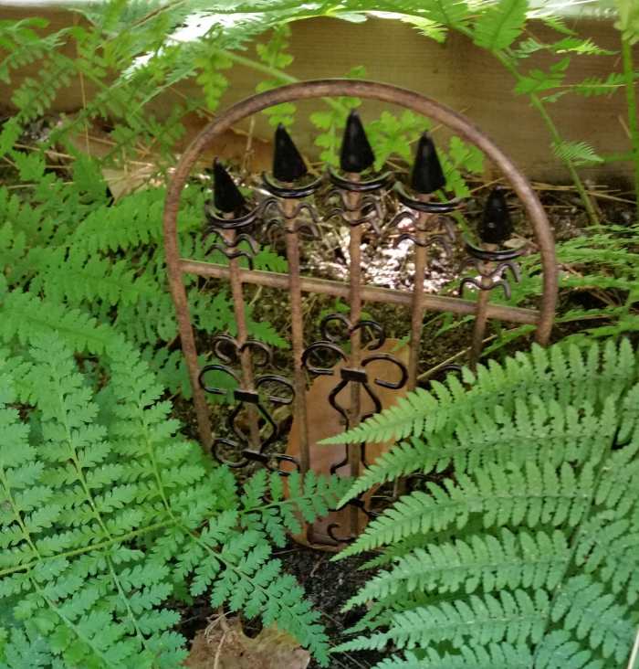 I transplanted some ferns from my woods for my mini-garden. They frame this metal gate perfectly. It is about 6 inches high. At any moment, I expect a wood nymph to open the gate and stroll into my ferny garden.