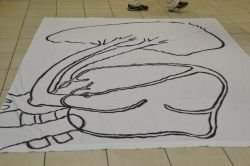 Bed sheet with the circulatory system drawn on it so children can walk through the system and name the parts. (A chalk drawing on a driveway would also work.)