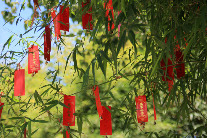 One of the more enchanting sights in the 'Ancient City' are trees laden with little plates, on which are written Thai characters. Bells hang from the plates. These are good luck charms