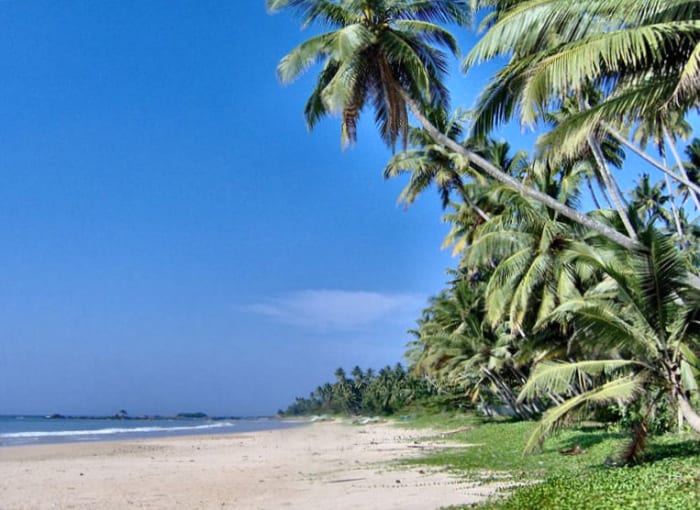 'The copyright holder of this work, releases this work into the public domain.' See: http://commons.wikimedia.org/wiki/File:Matara_Beach,_Sri_Lanka.JPG