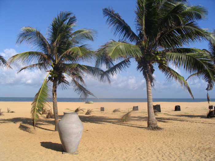 'Licensed under the Creative Commons Attribution 2.0 Generic license'. See: http://commons.wikimedia.org/wiki/File:Negombo_Beach,_Sri_Lanka.jpg