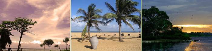 http://commons.wikimedia.org/wiki/File:Seaside_view_from_Marine_Drive,_Kolpittey_Sri_Lanka.jpg / http://commons.wikimedia.org/wiki/File:Negombo_Beach,_Sri_Lanka.jpg / http://commons.wikimedia.org/wiki/File:Wildlife_Preserve_Near_Kirinda,_Sri_Lanka.j