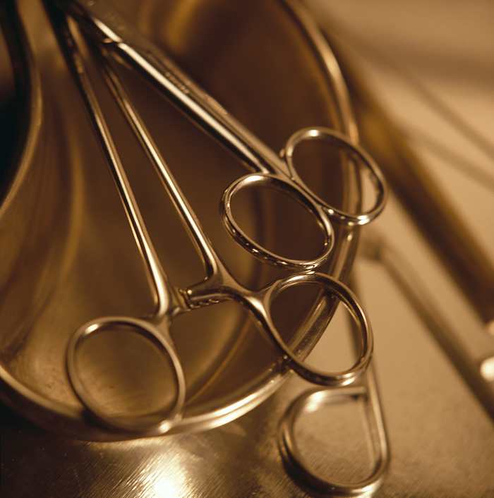 Could our abhorrence with canine alteration be in direct correlation with our own personal fear of surgery?
