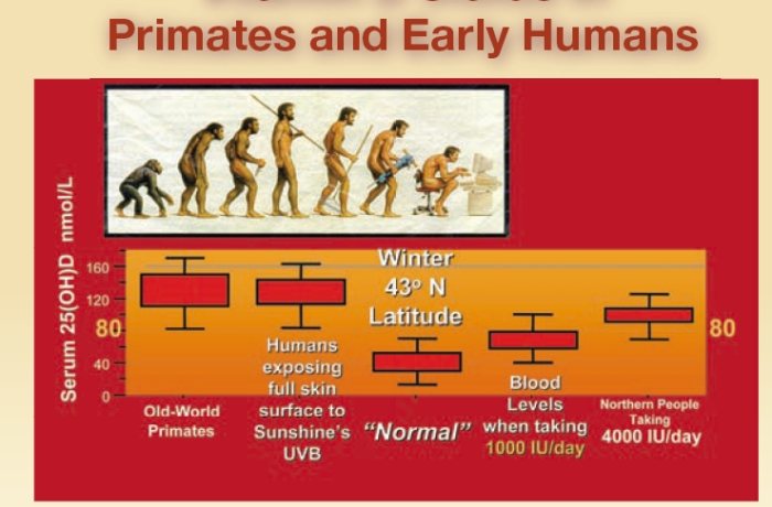 This chart is explained in video below and you can also see it on website below. Explains blood levels of vitamin D of other primates and early man compared to modern man.