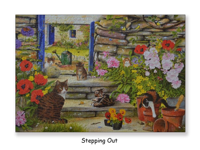 Jigsaw puzzle titled 'Stepping Out' painted by water color artist Tracy Hall :)