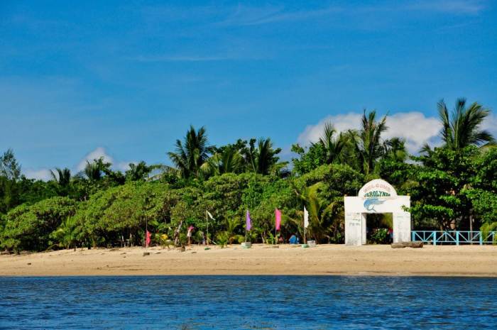 Jerolynda Resort is one short outrigger boat ride away from San Vicente Port. It can already be seen at the Port.
