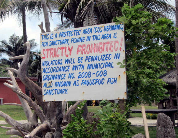 a couple of steps away from Kapuluan Vista Resort is the Fish Sanctuary of Dos Hermanos Island