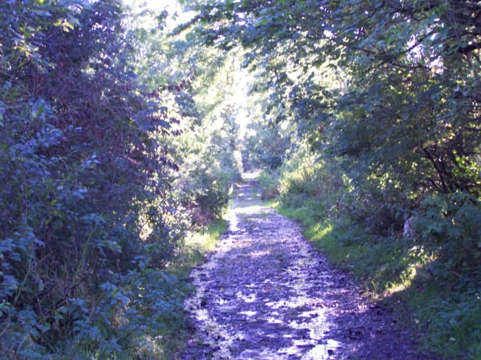 The Avenue goes off into the distance - this area is thought to be a place of strange shadows and white ladies.