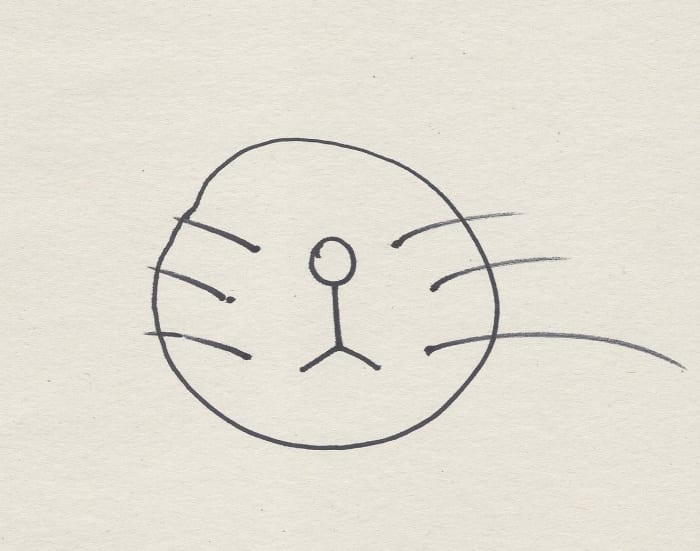 Draw lines (aka whiskers) around the dots. I may have made one a little too big. This doesn't need to be perfect- just have fun!