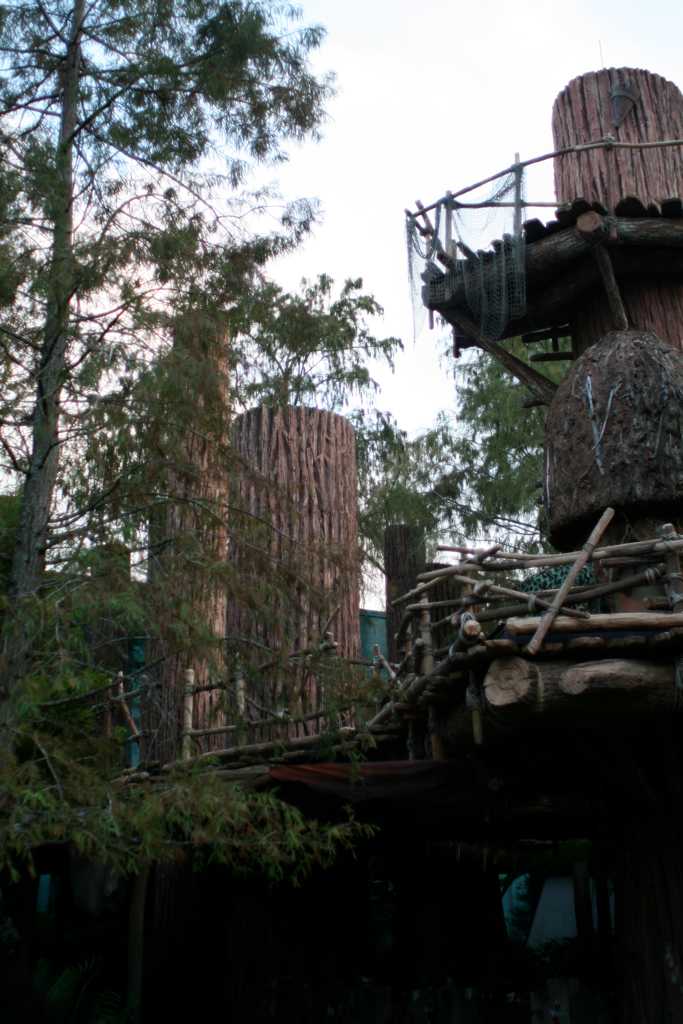Ewoks make their homes up in trees.