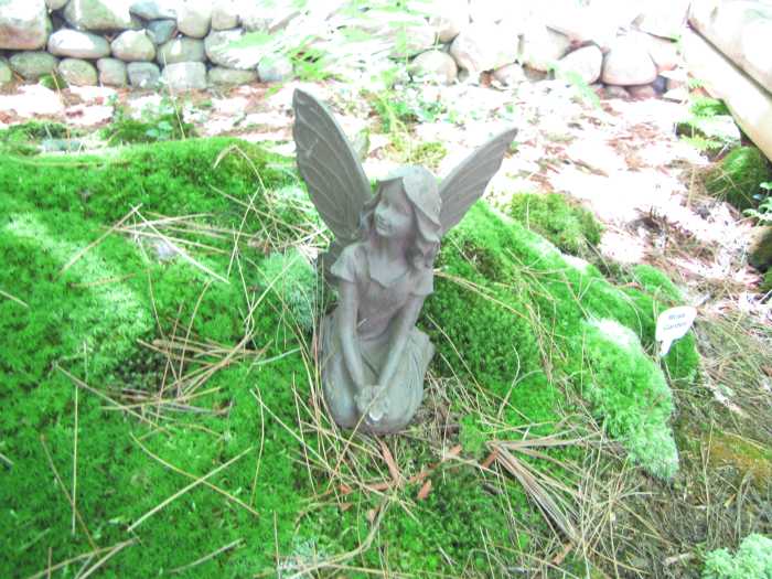 Make fairies welcome in your garden by creating a miniature landscape just for them.