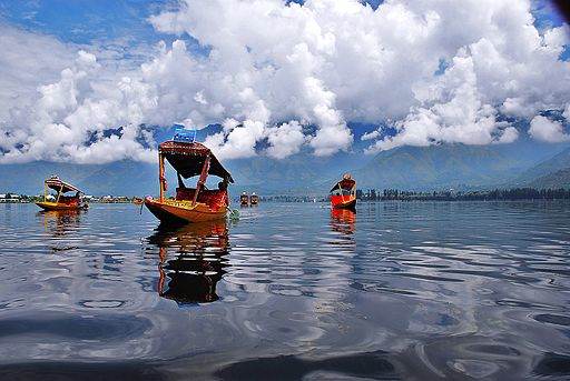 Floating Shikara in Dal Lake, Srinagar