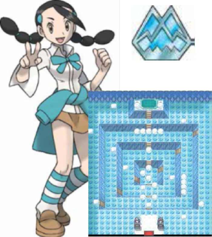 Pokémon Platinum Beating the Sinnoh Gym Leaders HubPages