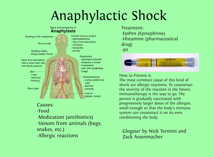 Anaphylactic Shock,Symptoms and Treatment - HubPages