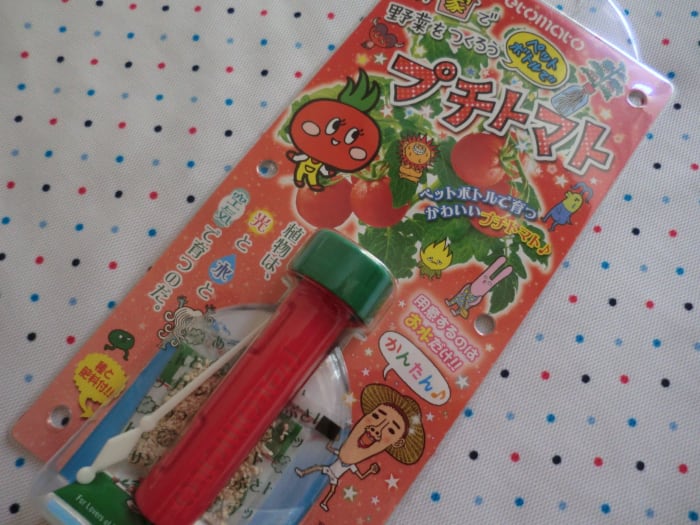 This is the front of the Petomato. I live in Japan so it's the Japanese version. You'll get the Western version