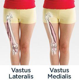 Open diagram showcasing the bones and the muscles of the leg with special emphasis on the Vastus Medialis Oblique and Lateralis Muscles