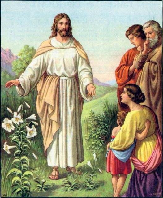 Popular in ancient Jewish civilization. Mentioned in both the old and new testament. In the Christian religion, the lily became closely related to chastity and virtue and the Virgin Mary.