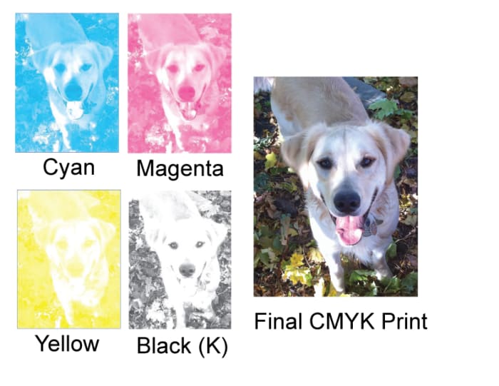 Layers of CMYK ink dots in 4 color process printing combine together to create photo images containing almost every imaginable color!