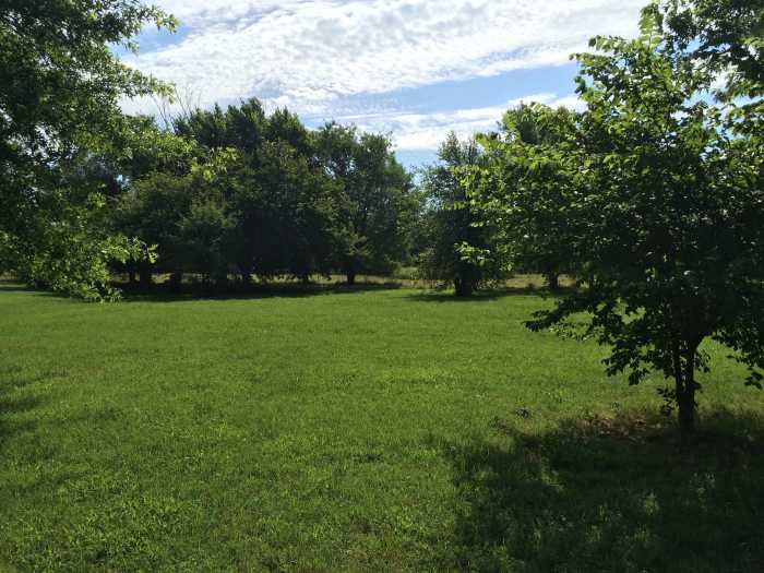 To those of us living the simple life, a bit of land is worth far more than a fancy house.
