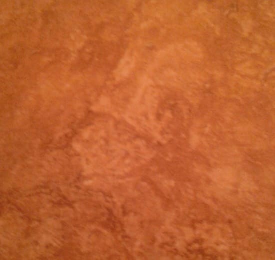 The creepy face of the Turtle Man looks up at me from my tile floor. What do you see?