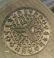 Here is Crop Circle that clearly depicts a plant in the middle. Could the message be that the energy used to create Crop Circles, also be used to create unlimited food supplies?