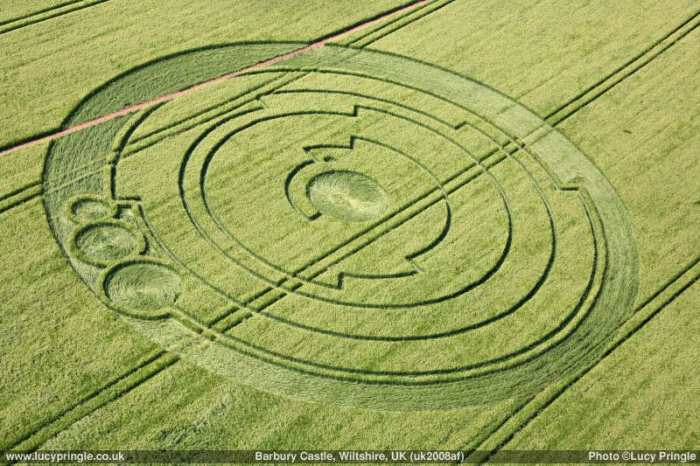 Crop circles add spice to alien conspiracy theories.