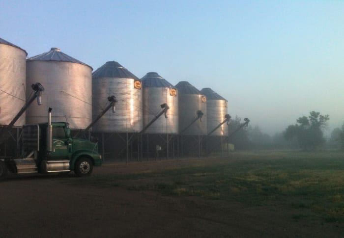 My husband and I erected all of the bins in this row. I look forward to the serenity of an early-morning job site, and count grain bins among our happiest projects.
