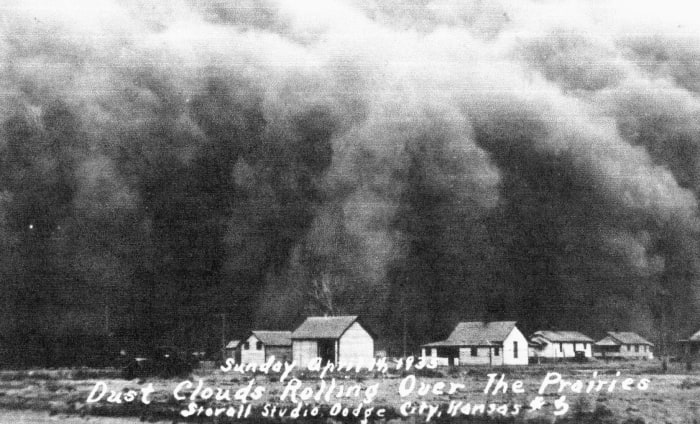 Several years of drought conspired with financial collapse and 'the land took to the sky' to complete the ruin.