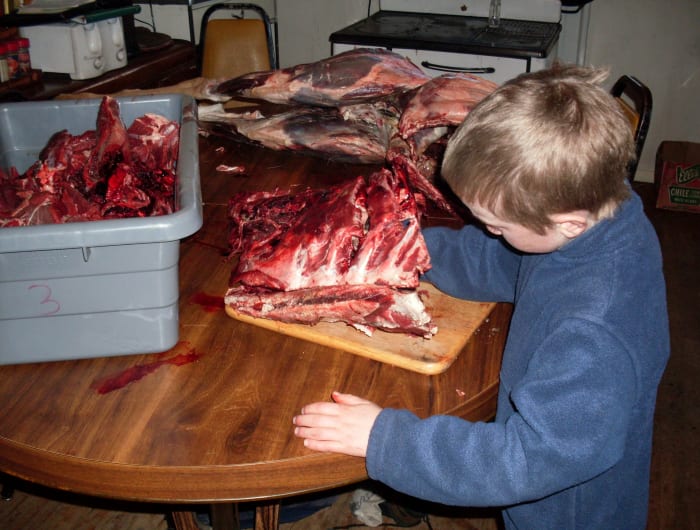 This rib section, with my son Billy cutting bits out from between the bones, is for hamburger - the blue tub is full of similar bits for ground deer meat.